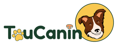 Toucanin.Fr
Des accessoires utiles, des jeux malins, des friandises saines et du fait main.